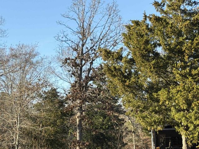 931 CR 1627, Rusk, TX 75785