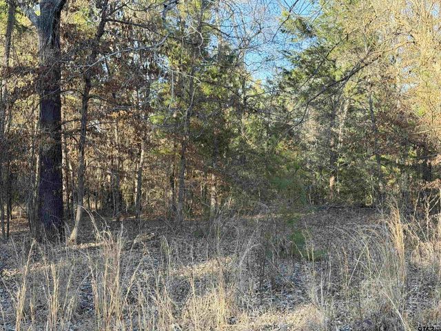 931 CR 1627, Rusk, TX 75785