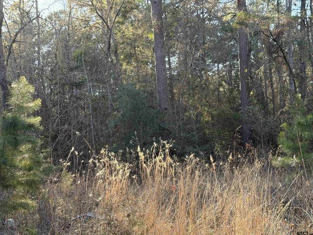 931 CR 1627, Rusk, TX 75785