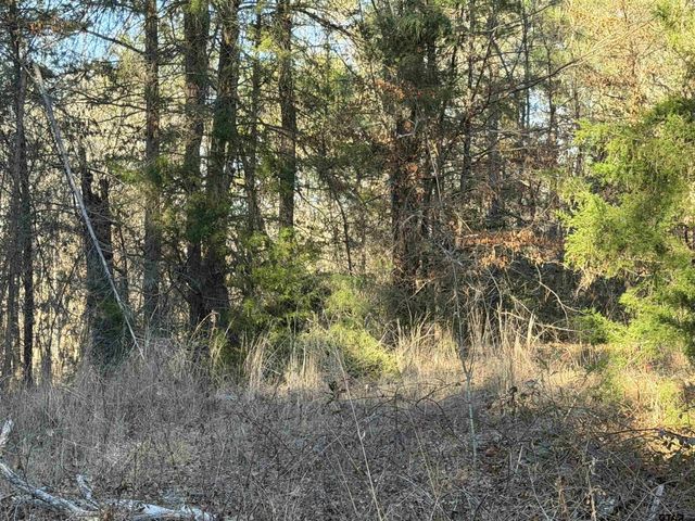 931 CR 1627, Rusk, TX 75785