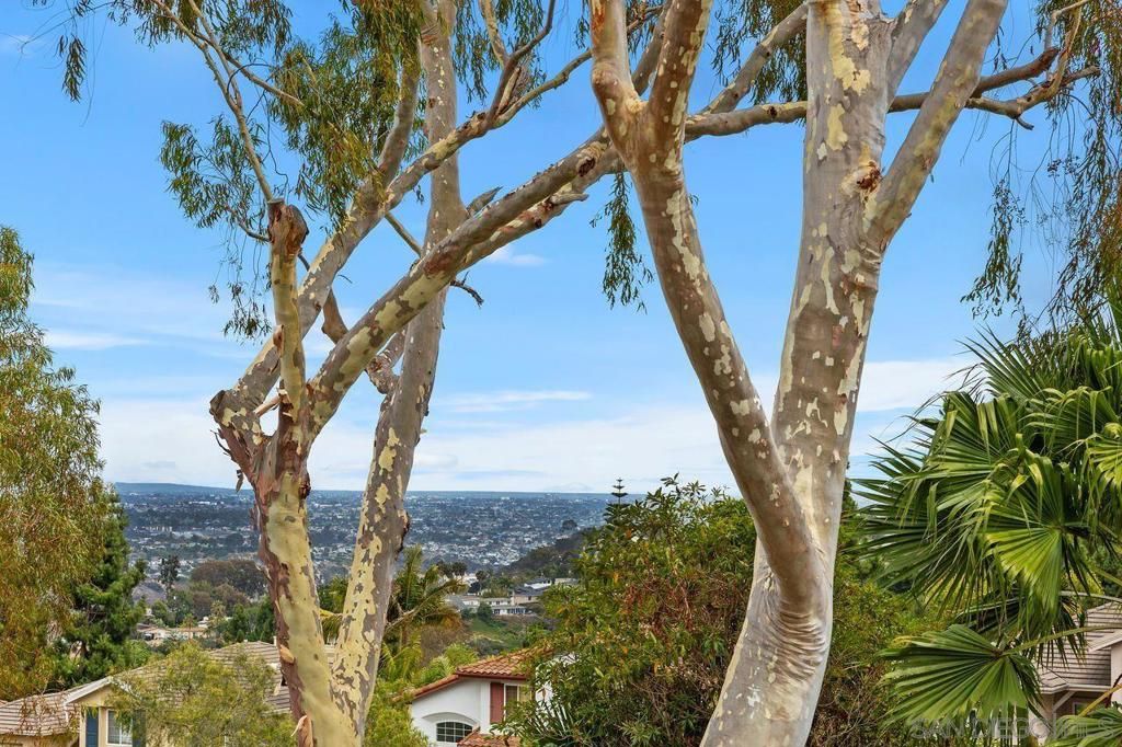 Image 22 of property listing at 2509 Caminito Muirfield, La Jolla, CA 92037