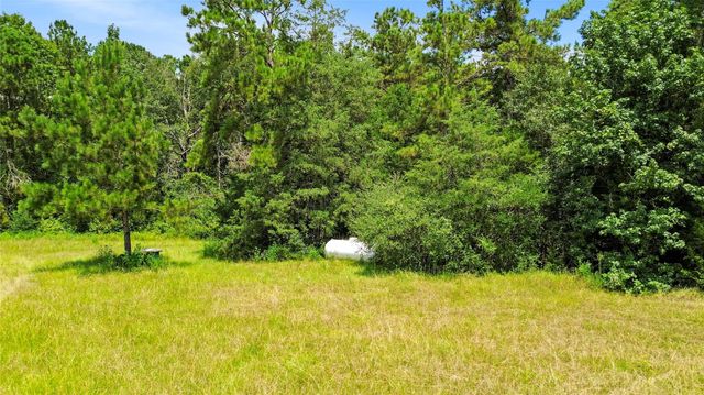 21203 Peach Wood Ct, Cleveland, TX 77328