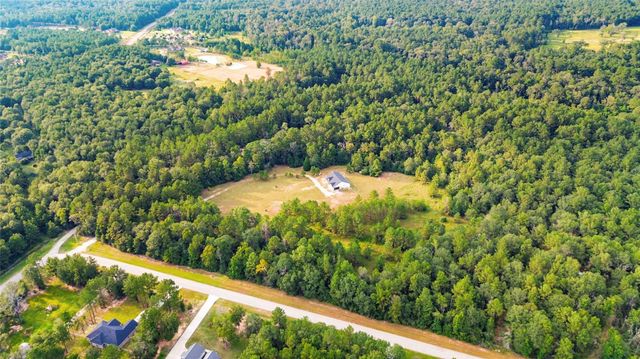 21203 Peach Wood Ct, Cleveland, TX 77328