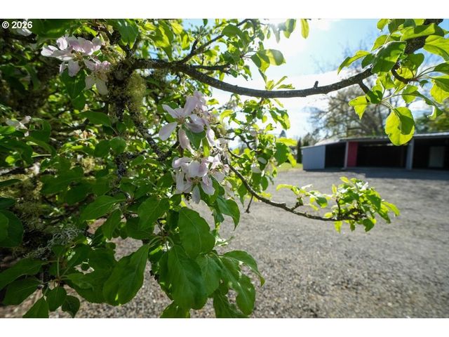 2035 PRIMROSE Loop, Philomath, OR 97370