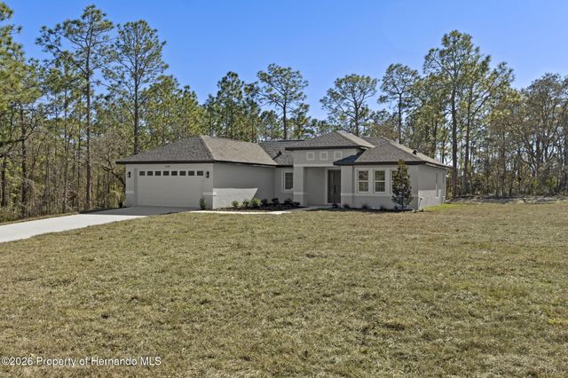 13088 Velvet Scoter Avenue, Brooksville, FL 34614