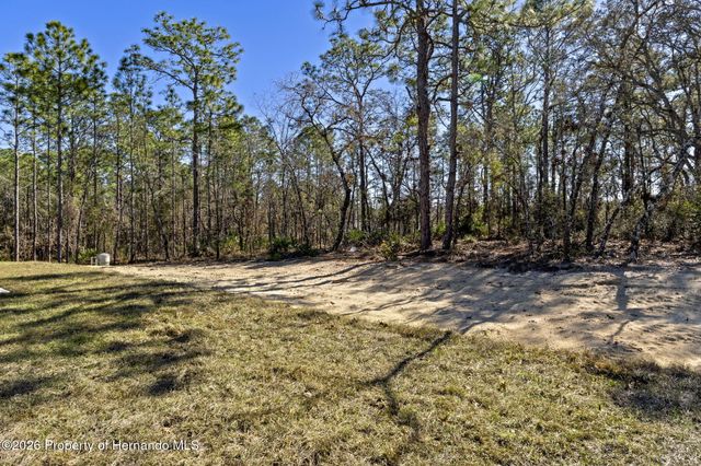 13088 Velvet Scoter Avenue, Brooksville, FL 34614
