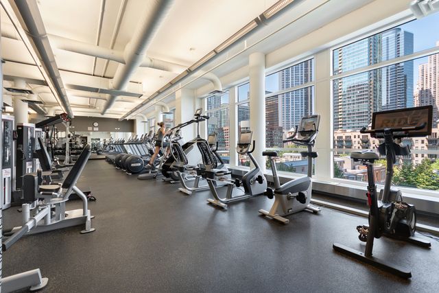 415 E North Water Street 2204, Chicago, IL 60611