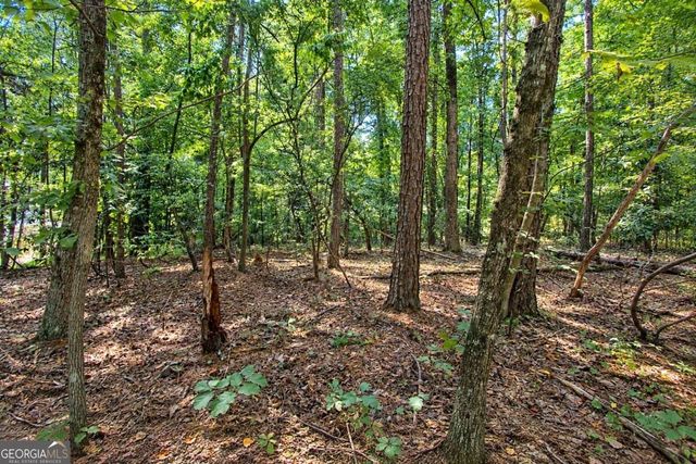 0 Buice Road, Johns Creek, GA 30022