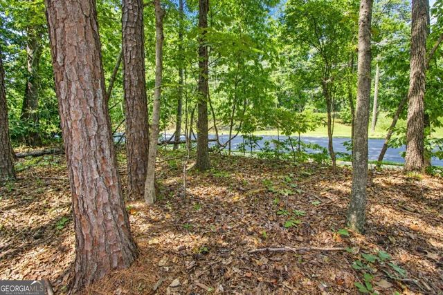 0 Buice Road, Johns Creek, GA 30022
