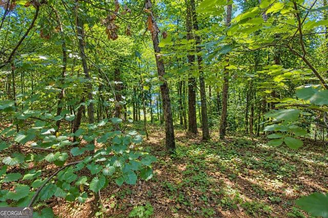 0 Buice Road, Johns Creek, GA 30022