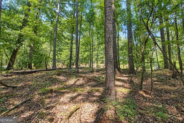 0 Buice Road, Johns Creek, GA 30022