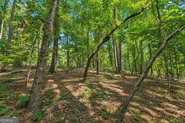 0 Buice Road, Johns Creek, GA 30022