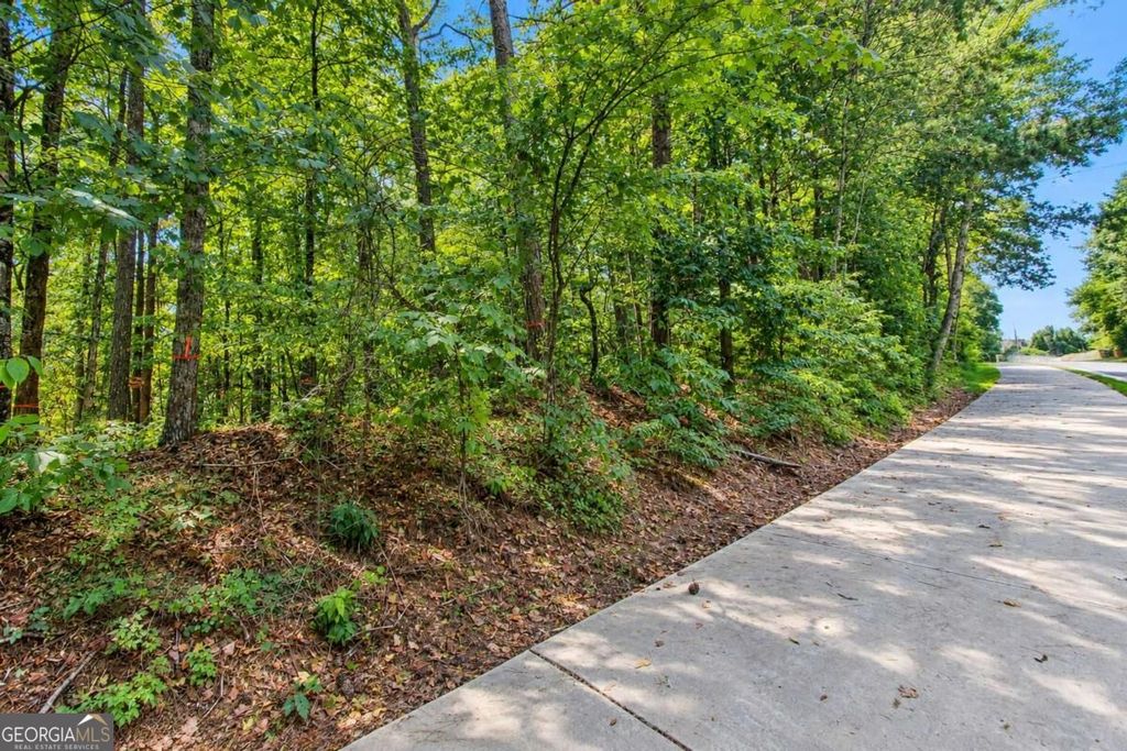 0 Buice Road, Johns Creek, GA 30022 — photo 4