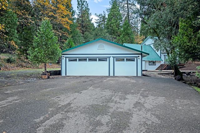 14955 Raven Rd, Pioneer, CA 95666