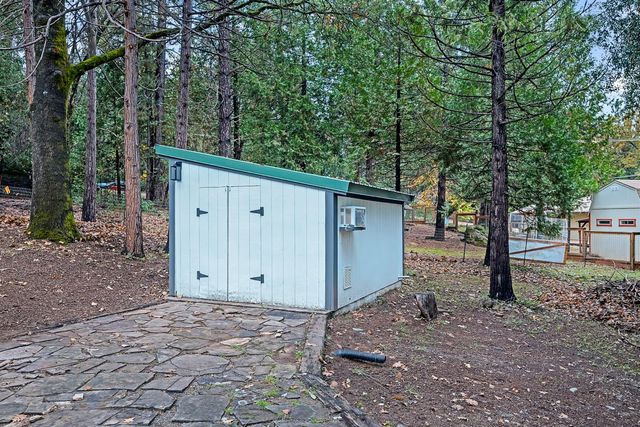 14955 Raven Rd, Pioneer, CA 95666