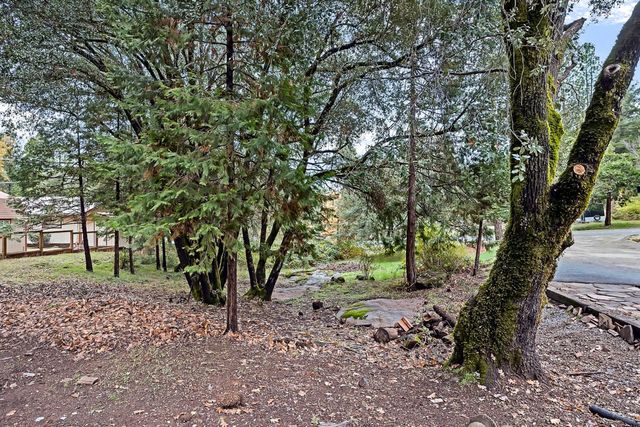 14955 Raven Rd, Pioneer, CA 95666