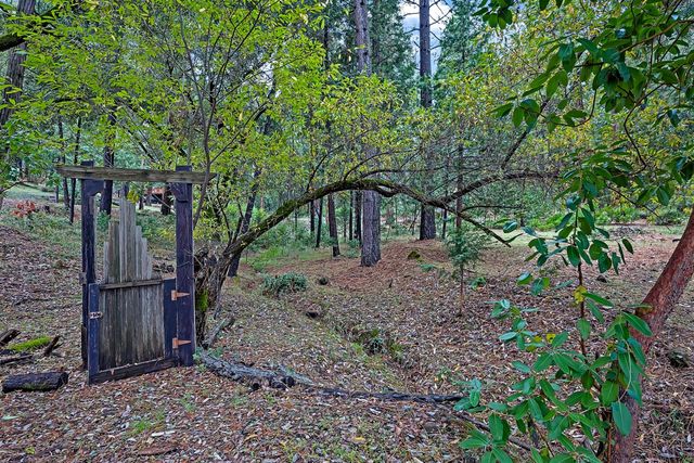 14955 Raven Rd, Pioneer, CA 95666