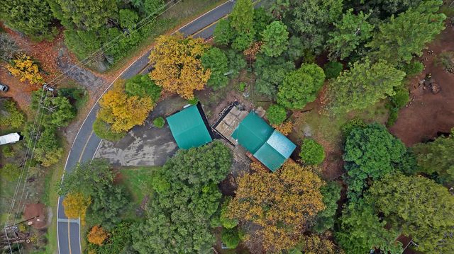 14955 Raven Rd, Pioneer, CA 95666