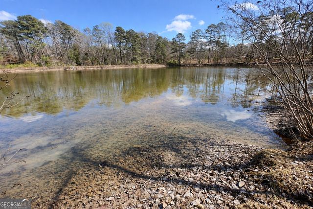 63 Whites Pond Road, Moreland, GA 30259