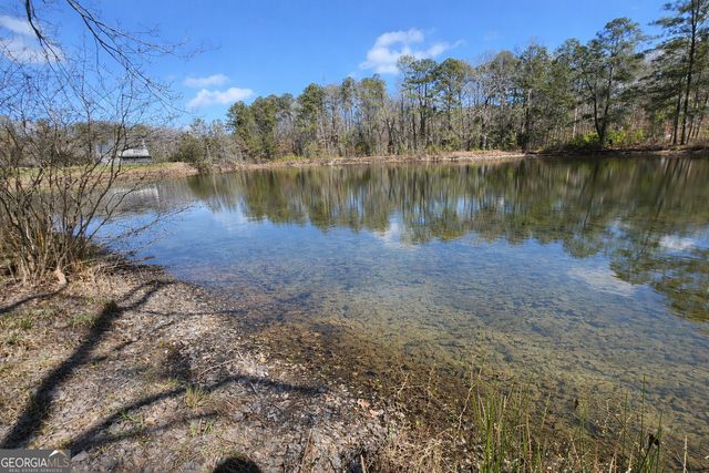 63 Whites Pond Road, Moreland, GA 30259