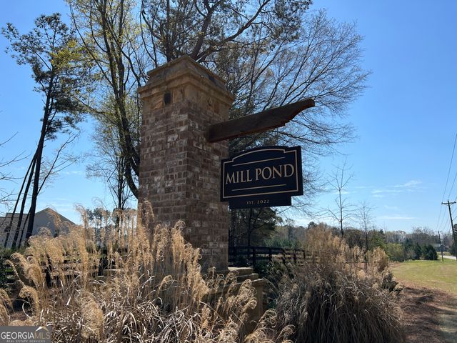 63 Whites Pond Road, Moreland, GA 30259