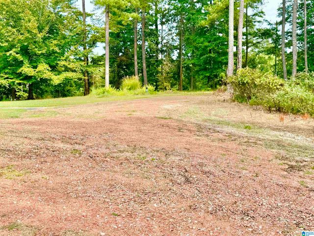 7903 ALABAMA HIGHWAY 63, Alexander City, AL 35010