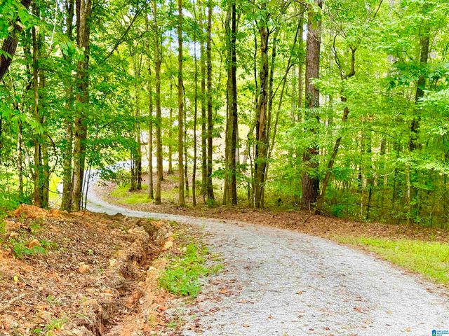 7903 ALABAMA HIGHWAY 63, Alexander City, AL 35010