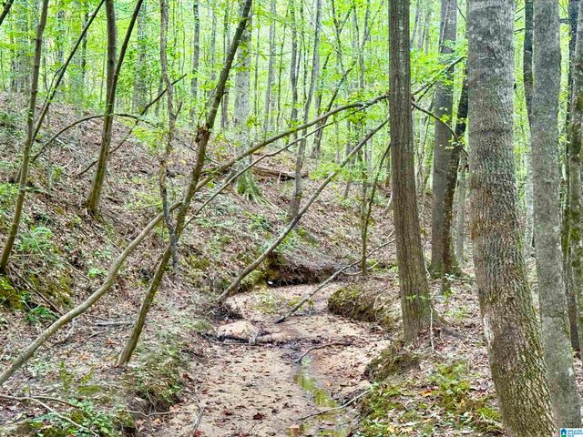 7903 ALABAMA HIGHWAY 63, Alexander City, AL 35010