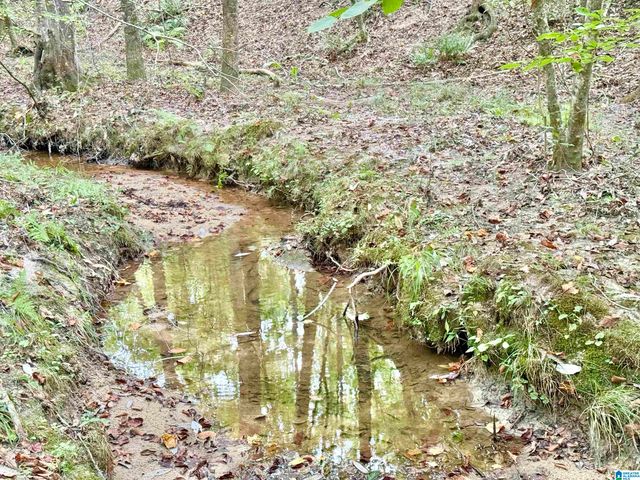 7903 ALABAMA HIGHWAY 63, Alexander City, AL 35010