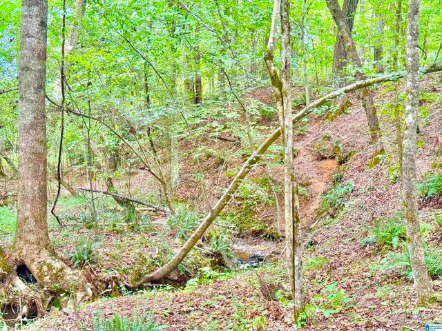 7903 ALABAMA HIGHWAY 63, Alexander City, AL 35010