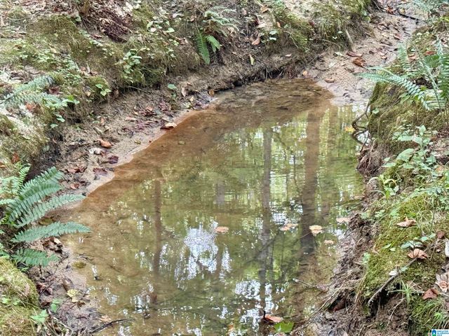 7903 ALABAMA HIGHWAY 63, Alexander City, AL 35010