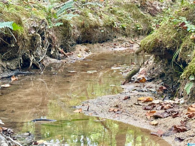 7903 ALABAMA HIGHWAY 63, Alexander City, AL 35010