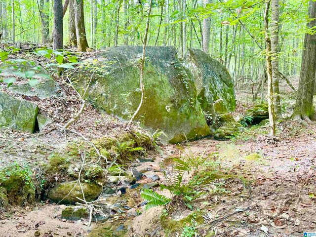 7903 ALABAMA HIGHWAY 63, Alexander City, AL 35010