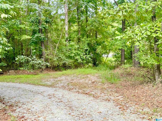 7903 ALABAMA HIGHWAY 63, Alexander City, AL 35010