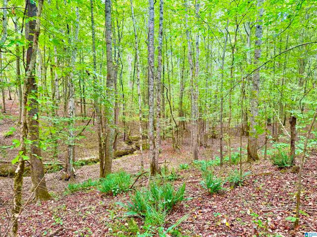 7903 ALABAMA HIGHWAY 63, Alexander City, AL 35010