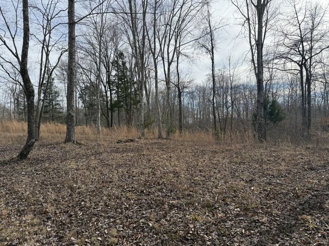 0 York Hwy, Gainesboro, TN 38562