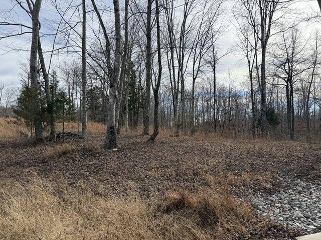 0 York Hwy, Gainesboro, TN 38562