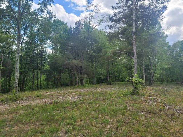0 York Hwy, Gainesboro, TN 38562