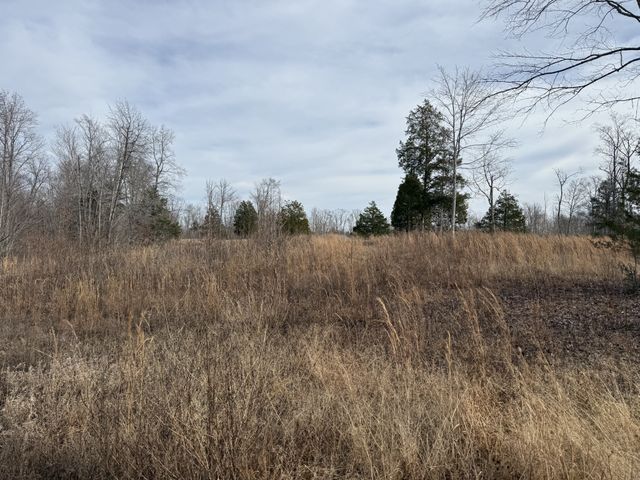 0 York Hwy, Gainesboro, TN 38562