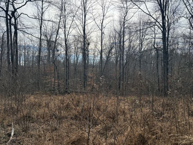 0 York Hwy, Gainesboro, TN 38562