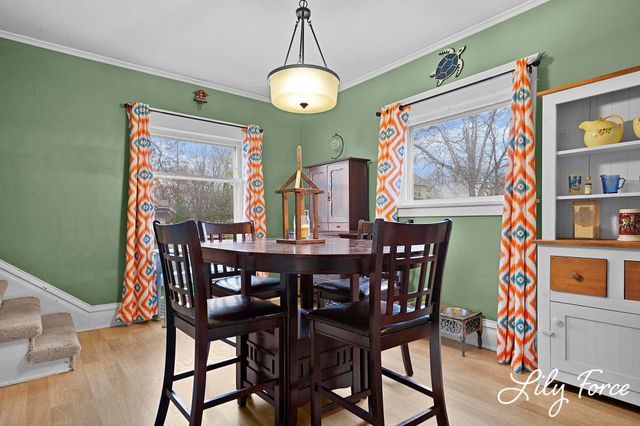 504 Lafayette Street, Ionia City, MI 48846