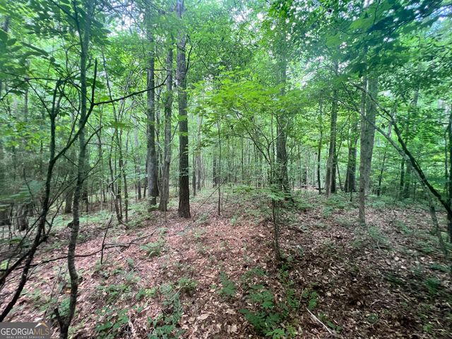 1589 Deer Field Farms Road, Monticello, GA 31064