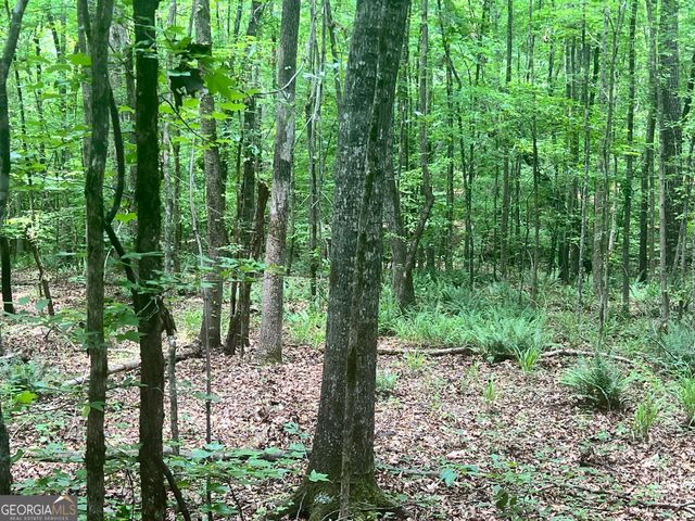 1589 Deer Field Farms Road, Monticello, GA 31064