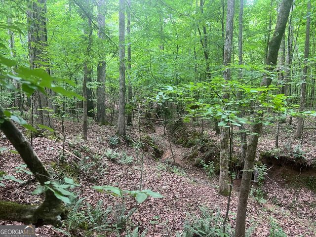 1589 Deer Field Farms Road, Monticello, GA 31064