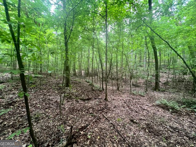 1589 Deer Field Farms Road, Monticello, GA 31064