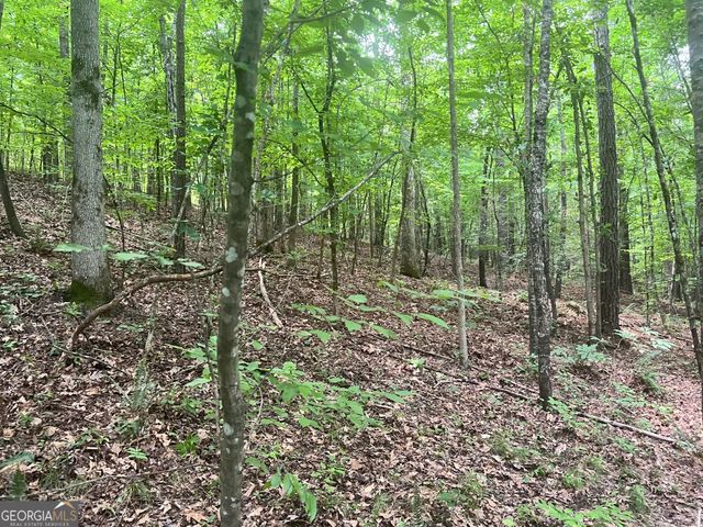1589 Deer Field Farms Road, Monticello, GA 31064
