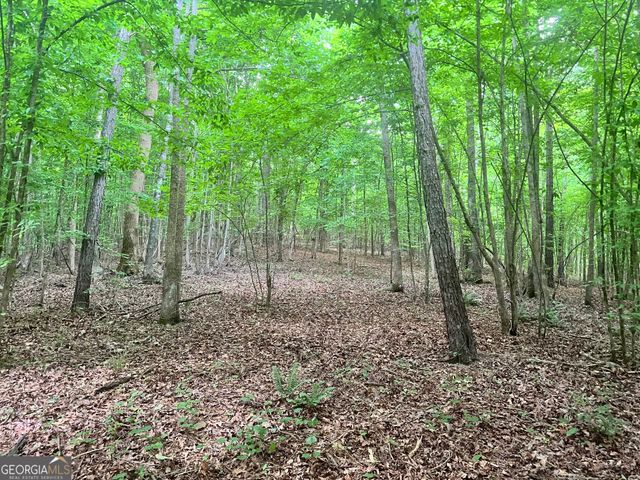 1589 Deer Field Farms Road, Monticello, GA 31064