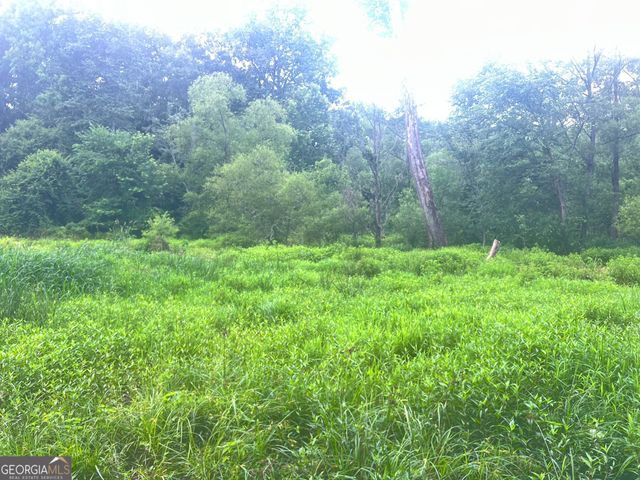 1589 Deer Field Farms Road, Monticello, GA 31064