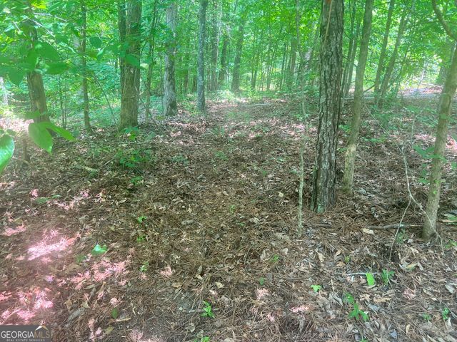 1589 Deer Field Farms Road, Monticello, GA 31064