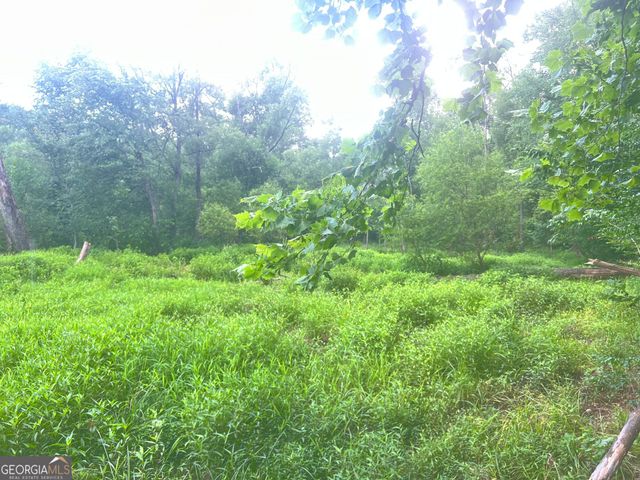 1589 Deer Field Farms Road, Monticello, GA 31064